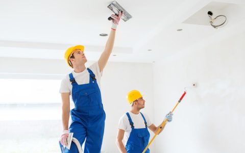 Gebze-Alci-Boya-Ustasi